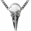 Crows & Ravens Alchemy Rabenschadel Kleine Pendant