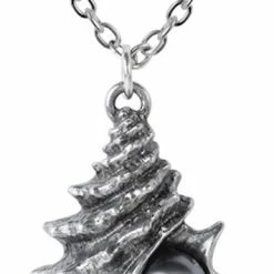 The Black Pearl of Plage Noir