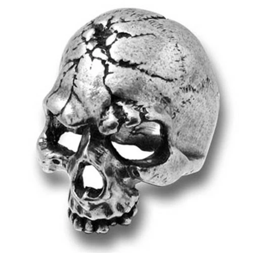 Skulls & Death Alchemy Ruination Skull Ring