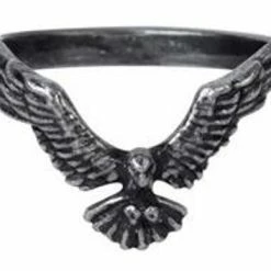 Crows & Ravens Alchemy Ravenett Ring